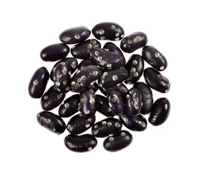 riddled  bean -Bean weevil (Bruchidae)   ,isolated on white background.