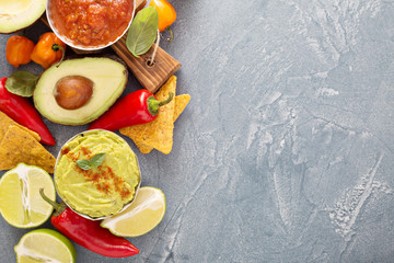 Mexican cuisine ingredients and guacamole
