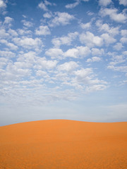 Fototapeta na wymiar Desert sand dune
