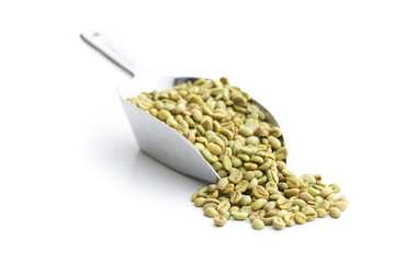 green coffee beans in metal scoop