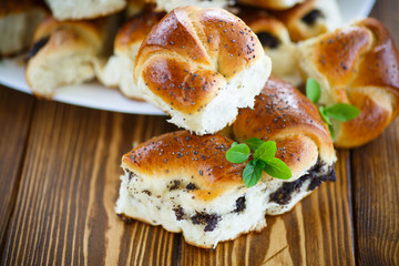 buns with poppy