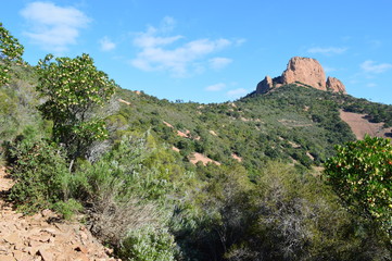 Pics dans l'Esterel