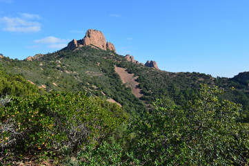 Piton dans l'Esterel