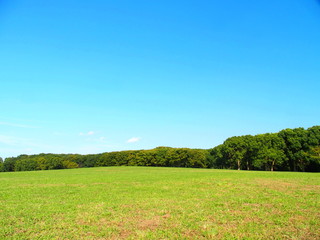 秋の草原風景