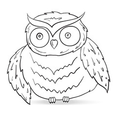 owl vector