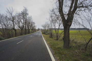 lonely road, desolate landscape with ruins on a cloudy day