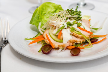 Salad with Sliced Chicken and Apples