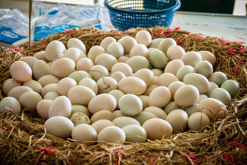 Duck eggs in the basket on the market. © bubbers