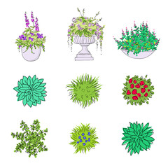 Set of hand drawn landscape design elements, garden flowers in vases, vector illustration