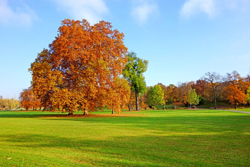 Colorful autumn landscape