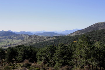 Fototapeta na wymiar Zarzalejo, Madrid. Vistas de paisaje y árboles en Otoño