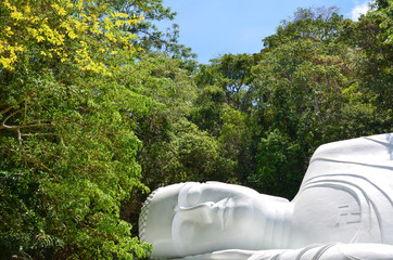 sleeping buddha in forest in Vietnam