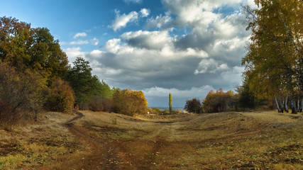 Park at autumn time under cloudy sky © ramanauz