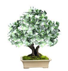 Money tree with euro banknotes