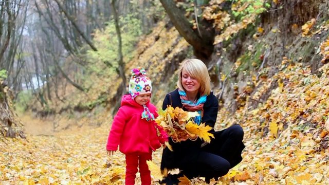 Mom and child playing autumn leaves in beautiful wood on fall day. Happy people enjoying nature.