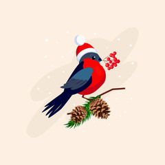 Bullfinch wearing a Hat on Branch with Cones. Vector Illustration