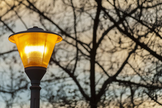 Isolated street light on trees blurred background
