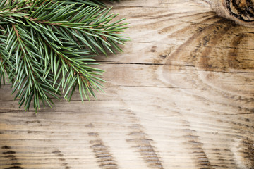 Wood texture with ornament and firtree.