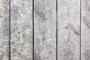 Grunge gray wood texture.