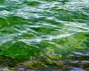 Soft ripples on water surface in colors of Emerald Green and Gold
