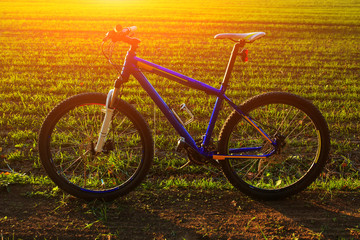 Obraz premium Mountain bicycle at sunny day