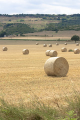 Fototapeta premium Harvest time with bales of hay on a cloudy day