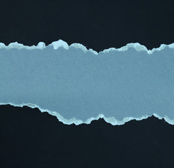 Pieces of torn paper