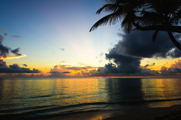 sunset silhouette of palm trees