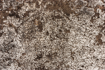 Textured walls with dirt.