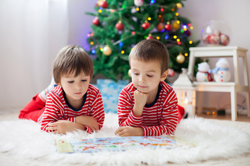 Two boys, reading a book in front of Christmas tree