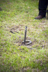 horseshoe pitching competition