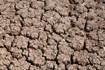 Dry land staying a long time without precipitation