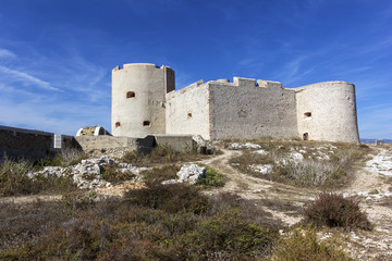 Fototapeta na wymiar Castle of If in Marseilles