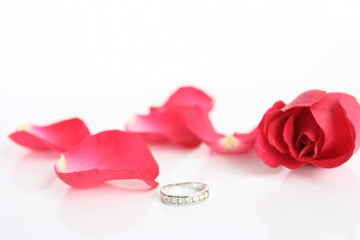 Red rose with ring on white background (valentine concept)