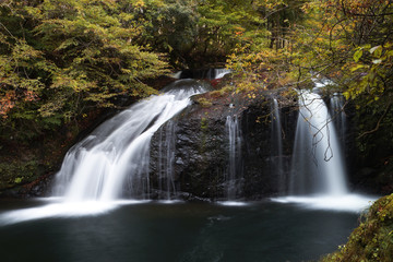 Obraz premium 紅葉の竹田川渓谷