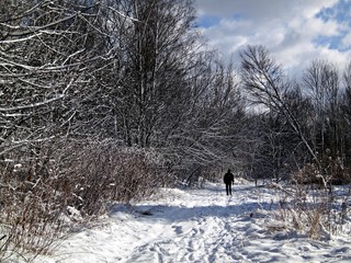 Spacer w mroźny, śnieżny dzień © luzyna