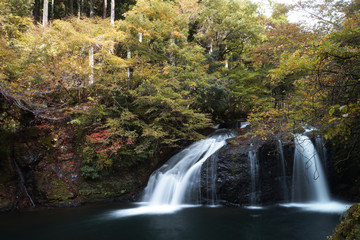 Fototapeta premium 紅葉の竹田川渓谷
