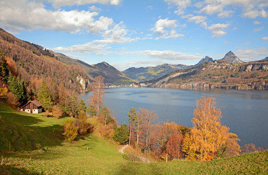 RütliwieseBilder StockFotos & Videos. Adobe Stock