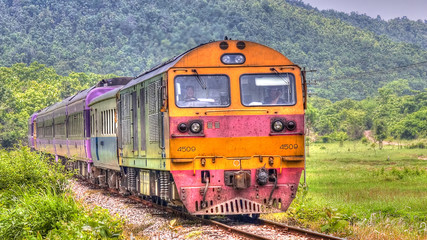 Obraz premium Overnight train was passing through field in northern Thailand 2013.