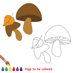 Vector cartoon mushroom to be colored. 