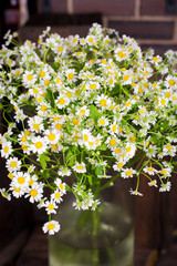 Chamomile bouquet in  glass vase