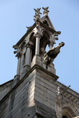 Fototapeta na wymiar Paris - The gargoyles on the north side wall of the Notre Dame Cathedral