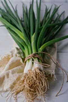A bunch of green onions on a light textile background on white brick wall
