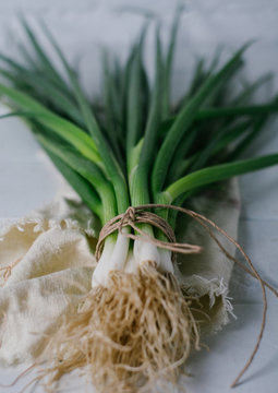 Green onions on a light textile background on white brick wall
