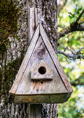 wooden birdhouse