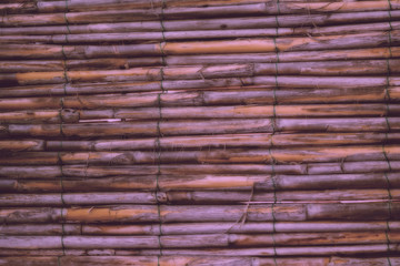 Bamboo texture background