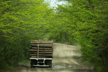 wood transport