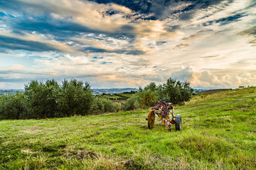 old rusty plow on a green hill