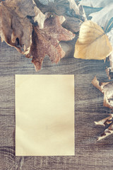 Autumn frame composition with a blank vintage paper sheet on a wooden surface. 