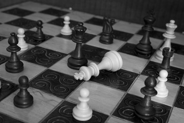 Scacchi fotografati su una scacchiera